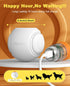 LED Dog Ball Rechargeable - Light Up Bounce-Activated Fetch Ball for Small & Medium Dogs, 2.5 Inches, Orange