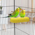 Bird Calcium Teeth Chew Toy for Hamster, Parrot, Parakeet, Rabbit, Chinchilla, Squirrel (Random Color)