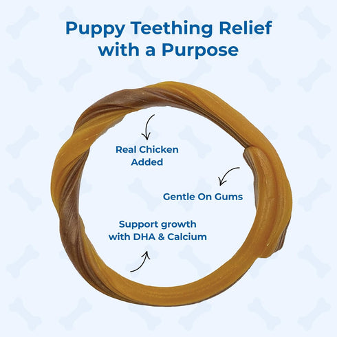 (1 Pack 6 (113048) N-Bone Puppy Teething Ring Chicken Flavor Of Rings)