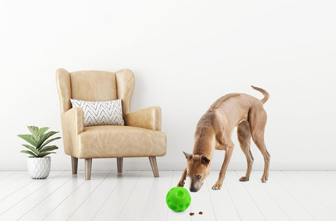 Omega Paw Giggle Treat Dispensing Ball for Large Dogs by