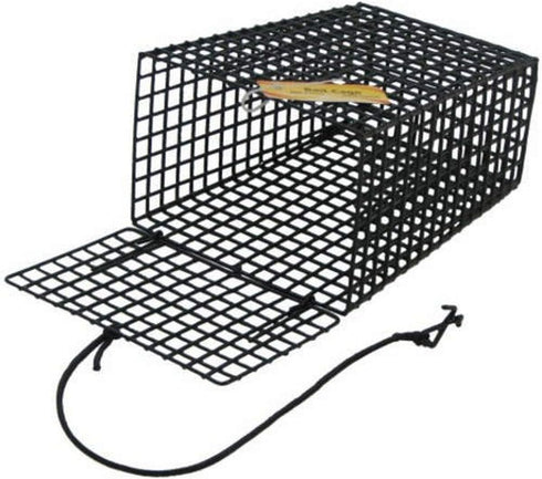 Beau-Mac's Bait Cage for Crab Trap, Green, BEAU19101