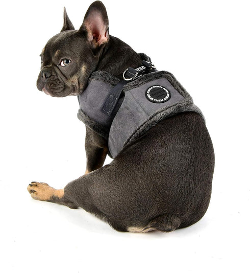 Puppia Terry Vest Dog Harness, Step-in Winter Suede Warm No Choke No Pull Training for Small and Medium Dogs, GREY, XL