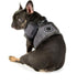 Puppia Terry Vest Dog Harness, Step-in Winter Suede Warm No Choke No Pull Training for Small and Medium Dogs, GREY, XL