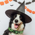 Halloween Dog Collar, Soft Comfy Collar with Spooky Ghost Skull Bat Cat Witch Tree Hat Pumpkin Pattern for Small Medium