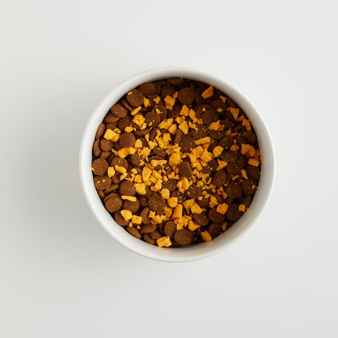 Freeze Dried Cheese Dog Treats - Grain-Free, High-Protein, Human-Grade, Made in The USA