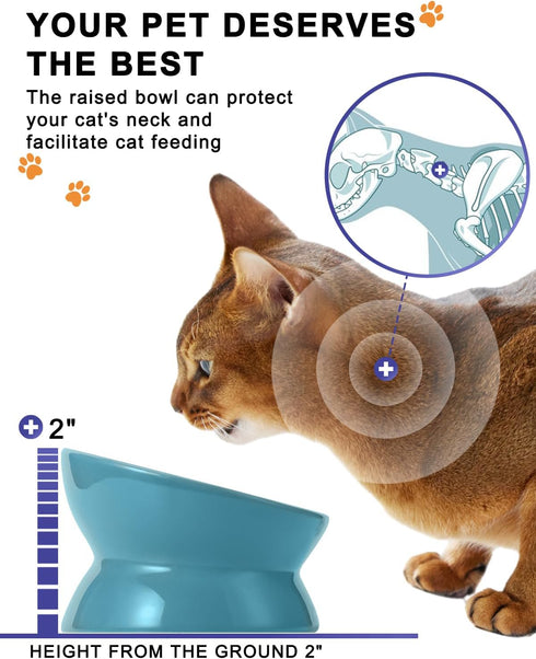 Y YHY Elevated Cat Food Bowl, Ceramic Raised Bowl with Tilt Angle for Cat's Spine Protection, Anti Vomiting Dish (Lake