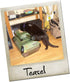 Suck UK | Tank Cat House | Cardboard Kitten Toys & Cat Bed | Interactive Cats Toy for Kittens & Cats | Novelty Kitten