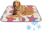 imiBBWQu Dog Cooling Mat Conch Starfish Red Yellow Coliing Mat Washable Pet Ice