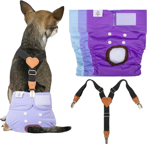 CuteBone Dog Diapers Female 3 Pack Reusable Doggy Diapers with One Suspender