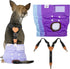 CuteBone Dog Diapers Female 3 Pack Reusable Doggy Diapers with One Suspender