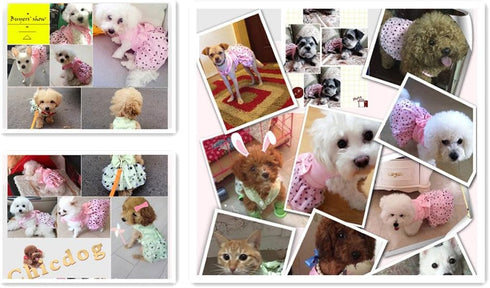 Hdwk&Hped Dog Dress with Leash Ring, Princess Multi-Layer Pleated Skirt for Small Dog Puppy Cat (Pink #1)