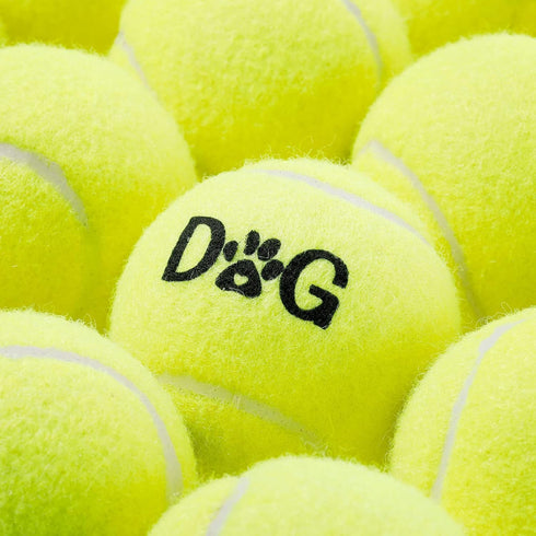 40 Pack Tennis Balls for Dogs - 2.5 Inch Easy Catching Fetch Toys with Carry Bags for Training and Exercise