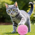 DJRDym 20 Pack 1.8 Inch Interactive Pet Play Pompoms - Soft, Non-Toxic Toy Balls for Cats & Dogs, Lightweight Balls