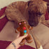 JPB 4 Pack Christmas Dog Toys - Squeaky Plush Puppy Toy for Small Dogs