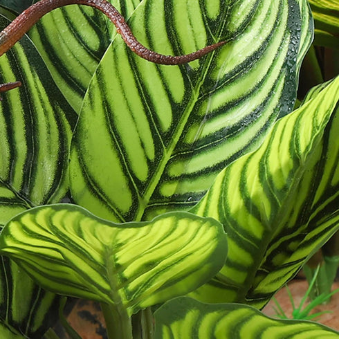 IBWell Reptile Terrarium Plants - Tortoise Habitat Accessories, Artificial Spider Plant for Gecko, Ball Python