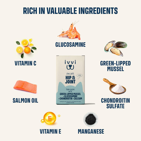 ivvi 30 0.53 oz Hip & Joint for Cats Functional Cream with Glucosamine, Chondroitin, Green-Lipped Mussel & Salmon Oil