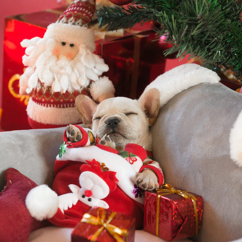 CuteBone Small Dogs Christmas Outfit, Soft Puppy Onesies Pjs, Comfy Doggie Jumpsuit for All Seasons