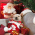 CuteBone Small Dogs Christmas Outfit, Soft Puppy Onesies Pjs, Comfy Doggie Jumpsuit for All Seasons