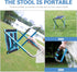 BESPORTBLE Portable Folding Stool Mini Beach and Fishing Seat Small Blue Lightweight Camping Chair Comfortable Outdoor