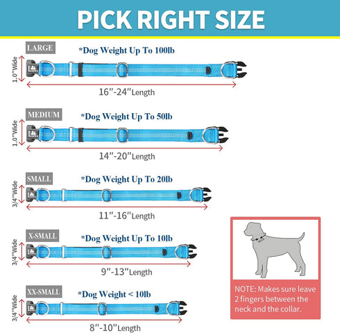 BAAPET Comfortable Dog Collar with Double Security Dual D-Ring and ID Tag Hanger for Small, Medium, Large Dogs (XS -