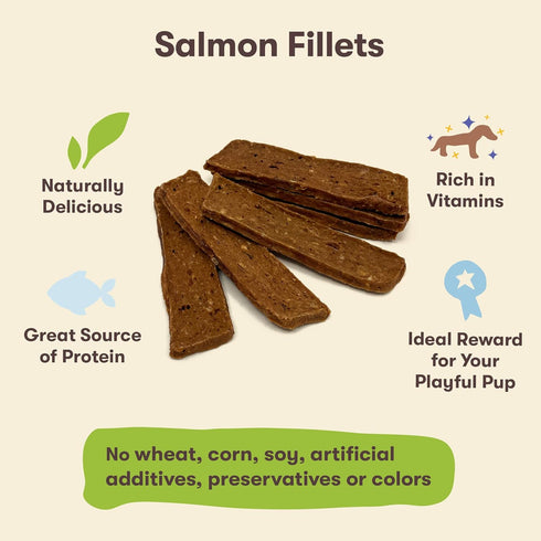 Pet 'n Shape Salmon Fillets, 16 oz - Healthy, Protein Rich Treats for Dogs