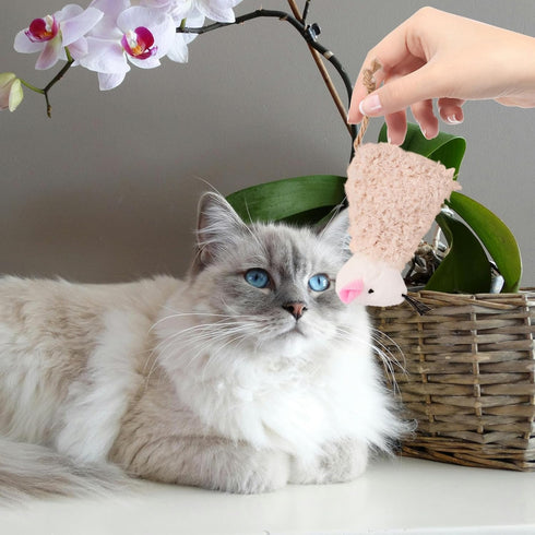 3pcs SEWACC Cat Toys Interactive Kitten Plush Toy for Exercise and Play