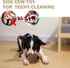 Pine Cone Dog Chew Toys for Medium Large Dogs: Nearly Indestructible Interactive Treat Dispensing Dog Toy, Long Lasting