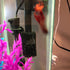 Pre-Filter Sponge Aquarium Filter Intake Cover, Compatible Filter Accessories for Fish Tank