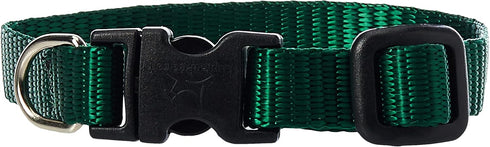 LupinePet Basics 1/2" Green Adjustable Collar, 6-9" for Extra Small Dogs