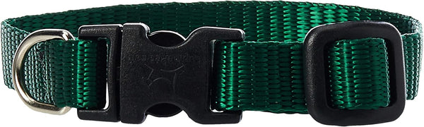 LupinePet Basics 1/2" Green Adjustable Collar, 6-9" for Extra Small Dogs
