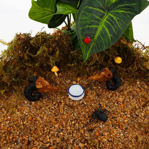 6 Pcs Mini Ceramic Water Bowl for Spider, Tarantula, Millipede, Tiny Reptile (Small: 0.86" D, 0.43" H)