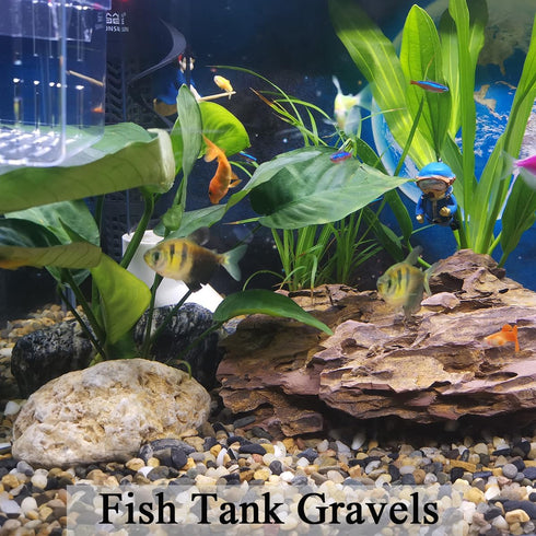 5lbs Aquarium Gravel, Pea Gravel for Indoor Plants, 1/4 Inch Decorative River Rocks for Fish Tank