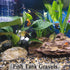 5lbs Aquarium Gravel, Pea Gravel for Indoor Plants, 1/4 Inch Decorative River Rocks for Fish Tank
