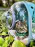 Bubble Cat Carrier Backpack - Transparent Pet Carrier for Small Puppy and Bunny (Backpack, Pink)