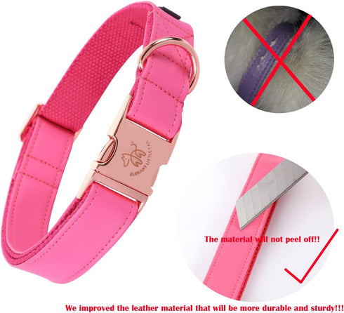 Elegant Little Tail Pink Dog Collar and Leash, Durable Adjustable Leather Collar for Small Dogs