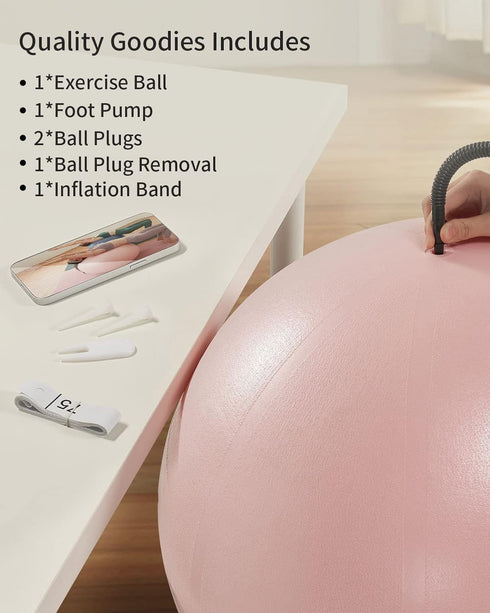 YOTTOY Anti-Burst Exercise Ball for Working Out, Yoga & Pregnancy, Extra Thick Workout Ball for Physical Therapy