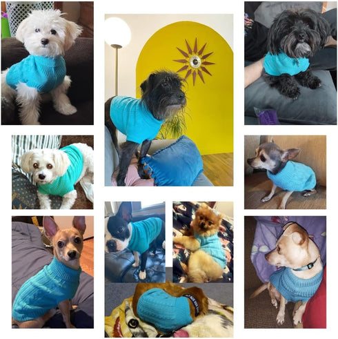 CHBORCHICEN Small Dog Sweaters, Knitted Pet Cat Warm Sweatshirt for Winter (Medium, Sky Blue)