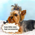 Chenkou Craft 50pcs/25pairs Puppy Yorkie Dog Hair Bows, Rubber Band Pet Grooming Products, Mix Colors & Patterns