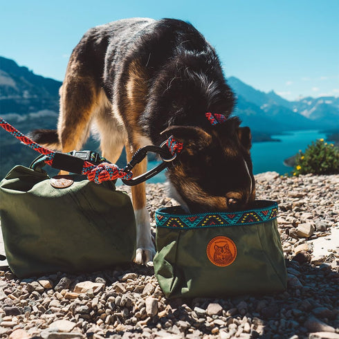 Wilderdog Backpacking Bowl - Holds Food & Water up to 64oz - Olive