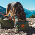 Wilderdog Backpacking Bowl - Holds Food & Water up to 64oz - Olive