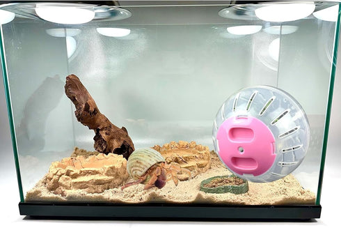 Dmykluc 1 Pcs Hermit Crab Toys Universal Hermit Crab Climbing Toys Ball Accessories for Small Pet