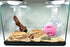 Dmykluc 1 Pcs Hermit Crab Toys Universal Hermit Crab Climbing Toys Ball Accessories for Small Pet