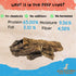 Amazing Dog Treats - Mega Thick Beef Lung Jerky Rewards | 100% Natural, High-Protein, Low-Fat, Grain-Free (10 Pc/Pk)