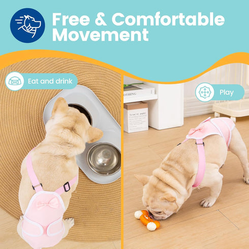 3 Pack Avont Frenchie Dog Diapers Female, Washable Reusable Girl Doggie Pants for Period Heat Cycle, Full Body Cover