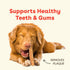 Pupford Yak Cheese Chews for Dogs & Teething Puppies, Natural Long-Lasting Himalayan Dental Treats, 3 Pack Small