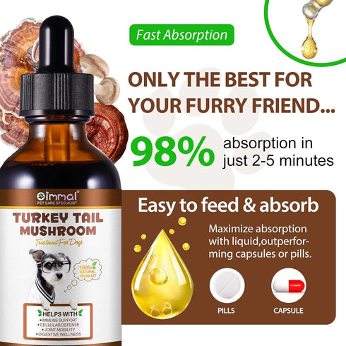 QwsYaay Immune, 60ml Turkey Tail Mushroom for Dogs, Mushroom Blend, Turmeric & Probiotic for Digestive & Joint Support