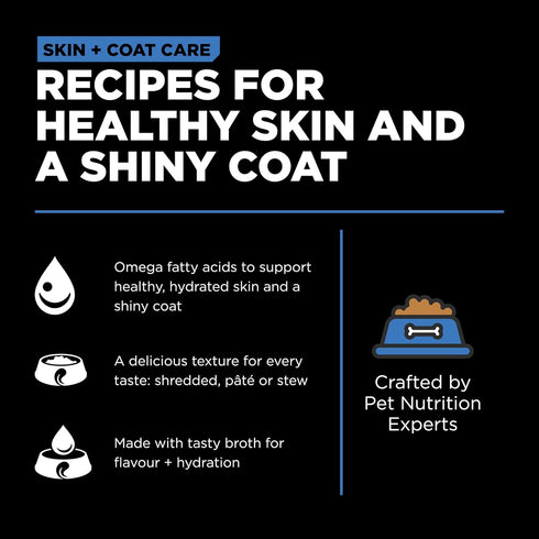 GO! SOLUTIONS Skin + Coat Care Wet Dog Food - Shredded Chicken Recipe with Grains, 12.5 oz