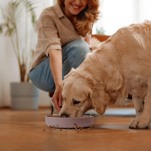 Coomazy Silicone Slow Feeder Dog Cat Bowls, Interactive Puzzle Toy for Food Training, Dusty Pink, Large (3.2 Cup)