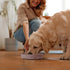 Coomazy Silicone Slow Feeder Dog Cat Bowls, Interactive Puzzle Toy for Food Training, Dusty Pink, Large (3.2 Cup)