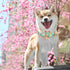 Dog Collar Pink Flowers Print, Cute Girl Collar with Flower Adjustable Metal Buckle Gift for Large Dogs